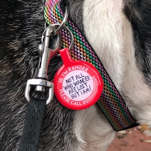 Funny Customized Text Pet ID Tag Dogs and Cats. More Colors & Sizes image 4