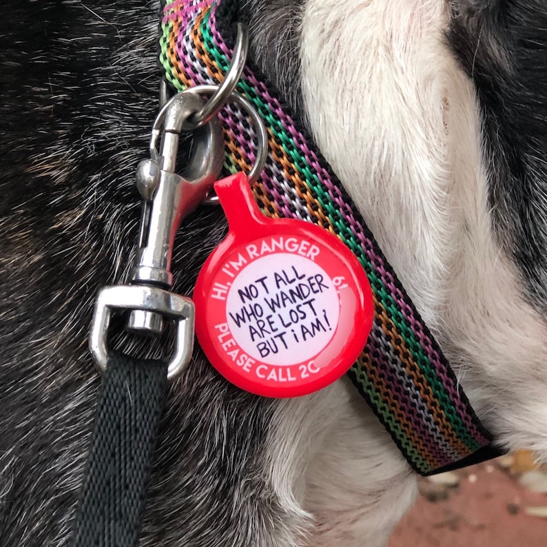 modern pet id tags modern pet id tags