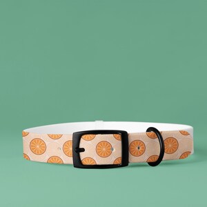 Tropical Citrus Breeze Dog Collar Choose Size and Buckle Finish image 9