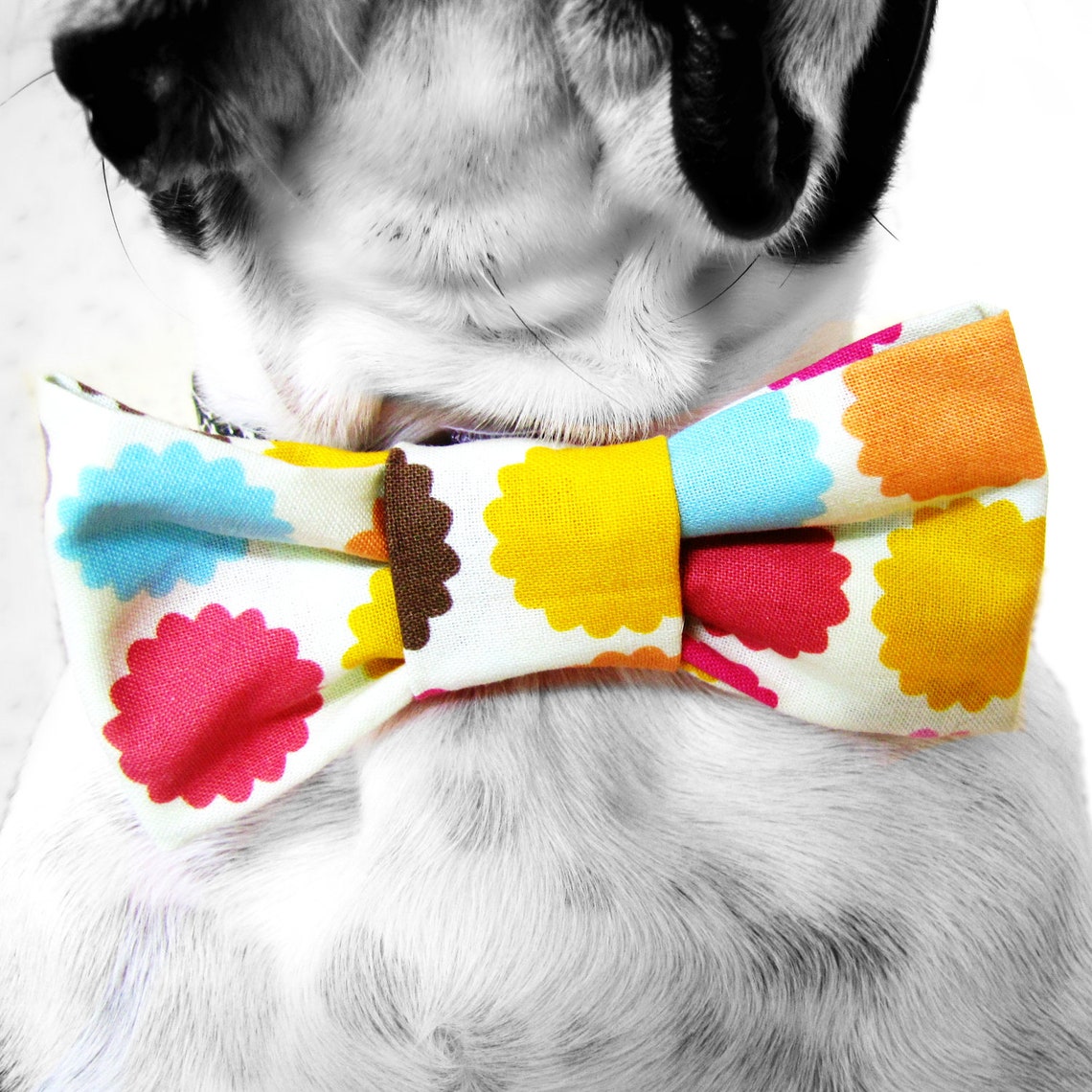 Dog Collar Bow Tiemulti Floral Etsy