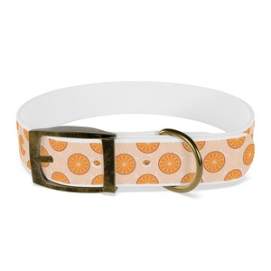 Tropical Citrus Breeze Dog Collar Choose Size and Buckle Finish image 7