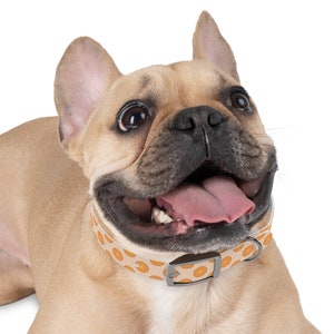 Tropical Citrus Breeze Dog Collar Choose Size and Buckle Finish image 2