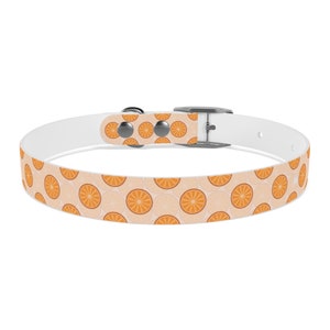 Tropical Citrus Breeze Dog Collar Choose Size and Buckle Finish image 8