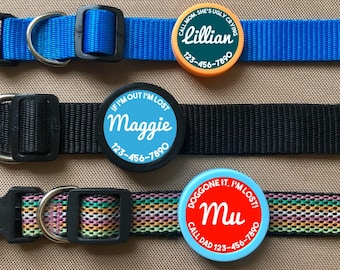 Personalized Silent Pet ID Tag – Eco-Friendly Twist-On Dog & Cat Tag