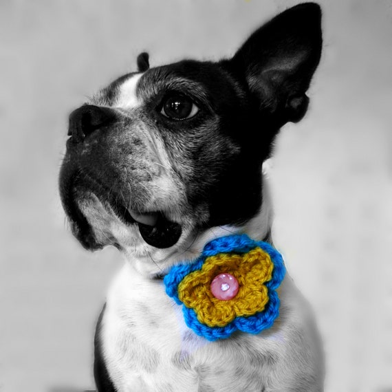 2 Color Crochet Dog Collar Flower MORE COLORS Etsy