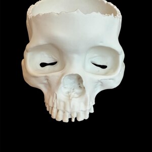 May include: A white skull-shaped planter with a hollowed-out top and closed eye sockets. The skull has visible teeth and is set against a black background. The planter is a decorative item.