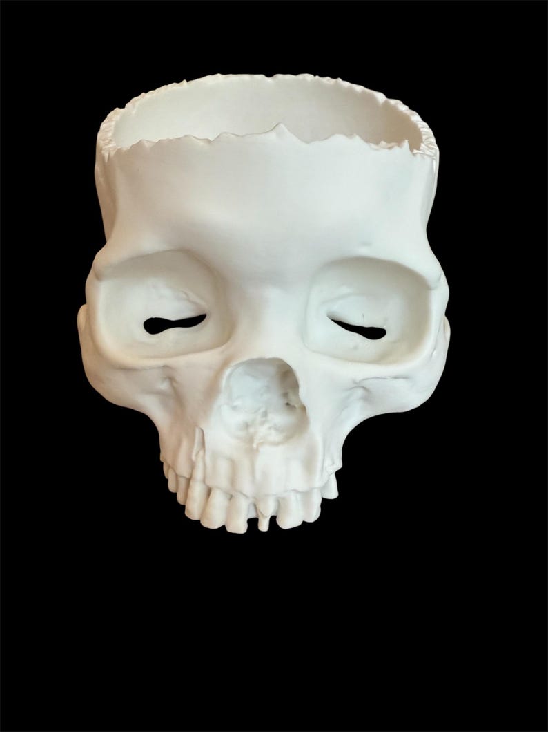 May include: A white skull-shaped planter with a hollowed-out top and closed eye sockets. The skull has visible teeth and is set against a black background. The planter is a decorative item.