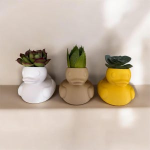 May include: Three duck-shaped planters in white, tan, and yellow, each holding a succulent plant. The succulents have green and burgundy leaves. The planters are arranged on a neutral-colored shelf, creating a whimsical and decorative display.