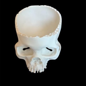 May include: A white skull-shaped decorative bowl with a hollowed-out top. The skull has eye sockets and a nasal cavity, with a jagged edge around the opening. The bowl is set against a black background.