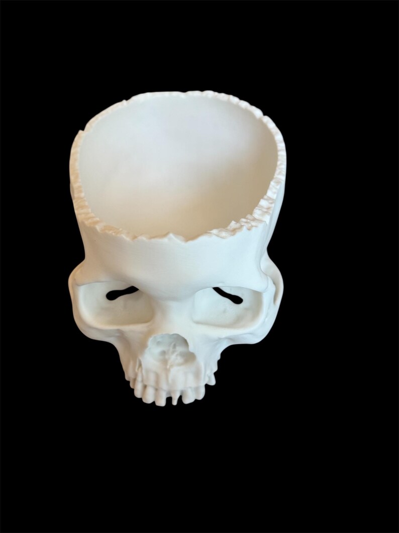 May include: A white skull-shaped decorative bowl with a hollowed-out top. The skull has eye sockets and a nasal cavity, with a jagged edge around the opening. The bowl is set against a black background.