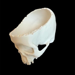 May include: A white skull-shaped planter with a jagged rim. The open top of the skull is designed to hold plants or other decorative items. The skull has detailed facial features and is set against a black background.