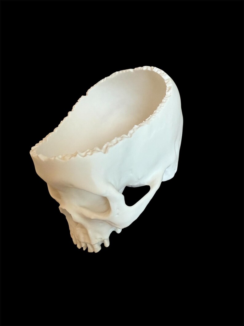 May include: A white skull-shaped planter with a jagged rim. The open top of the skull is designed to hold plants or other decorative items. The skull has detailed facial features and is set against a black background.
