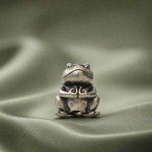 May include: A small, metallic, silver-toned frog figurine with a weathered, dark patina finish. The frog is depicted in a seated, upright position with its front limbs held together near its chest, featuring detailed eyes and textured skin.