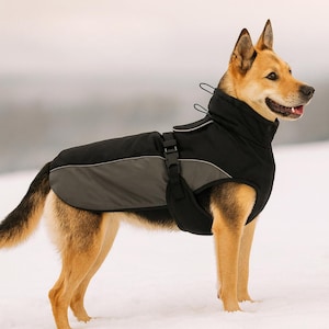 Chaqueta reflectante impermeable para perros, chaqueta cálida y resistente al viento, con orificio para correa.