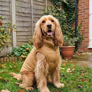 Waterproof Fleece Dog Jacket – Winter Coat with Harness Hole for Small Medium Dogs