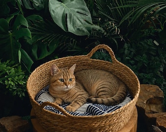 May include: A tan tabby cat rests in a round woven basket with handles, atop a wooden stand. The basket contains a blue and white patterned cushion. Lush green foliage forms the background, creating a natural, cozy setting for a pet.