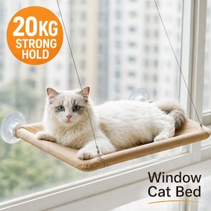 Pode incluir: Um gato branco com olhos azuis descansa em uma cama para gatos de janela bege. A cama é suspensa por fios e fixada à janela com ventosas. A imagem inclui o texto "20KG Strong Hold" e "Window Cat Bed".