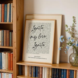 May include: A framed print with the words "Ignite my love Ignite" in a handwritten style. The print is on a shelf with books and a vase of blue flowers. The text at the bottom reads "Aaron Warner, Chief Commander and Regent of Sector 45."