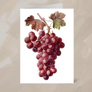 Rode druiven op wijnstok Notitiekaart afdrukbaar | Moderne wenskaart met fruitthema voor elke gelegenheid, blanco binnenkant voor persoonlijk bericht