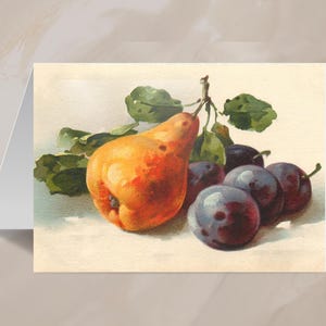 Peer en pruimen stilleven notitiekaart, blanco notitiekaart met fruitthema voor alle gelegenheden, milieuvriendelijk briefpapier