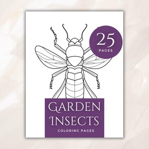 Garden Insects Coloring Pages Printable for Kids & Adults – Detailed Bug Designs, Educational and Fun Nature Art Activity