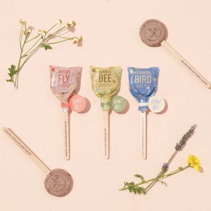 May include: Three seed pops in pink, yellow, and blue wrappers labeled Butterfly, Bumble Bee, and Hummingbird, each with a Plant Me tag. Two round, textured seed discs on wooden sticks labeled Wildflower Butterfly Blend are included.