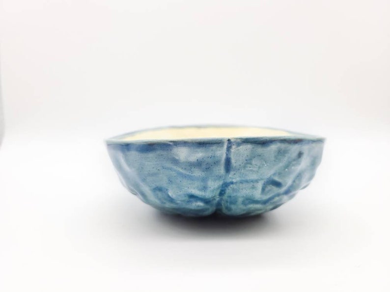 science therapy Planter Brain Neuroscience office Blue Brain Bowl --- Psychology graduation gift mental health d\u00e9cor bowl