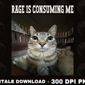 Rage Consumes Me Cat Meme PNG, Staring Cat Design, Rage Consumes Me PNG, funny cat shirts PNG, Rage is Consuming Me cat png, Cat Staring