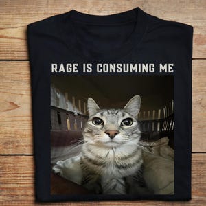 rage is consuming me png, rage consumes me shirt png, rage png, design t-shirt png, Rage Consumes Me png, Rage is consuming me cat png