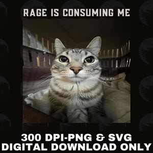 rage is consuming me png, rage consumes me svg png, Staring Cat Png, Rage Consumes Me PNG, Rage Consumes Me, Cat Meme Png, Funny Cat Meme