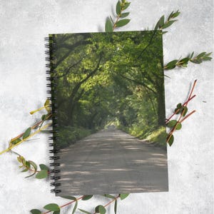 Botany Bay Tree Tunnel Lined Notebook: 6x8 Notebook with Pocket, Nature-Inspired Notebook for Journaling - Edisto Beach-Botany Bay
