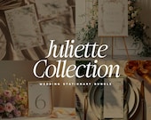 Spring Garden Wedding Stationery Bundle, Editable Floral Elegant Wedding Suite, Printable Wedding Templates