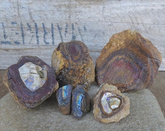 Yowah nut Boulder Opal specimen set, 684 grams natural untreated Australian Opal, mineral collector gemstone, geologist rock hound matrix