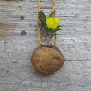 Op de afbeelding: Een unieke, handgemaakte hanger met een gladde, bruine steen met een gele bloem en groene bladeren. De steen wordt opgehangen door een gevlochten, goudkleurig koord. De hanger staat tegen een verweerde, grijze houten achtergrond.