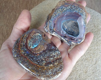 Two Yowah nut Boulder Opal specimen, contemplation, gemstone, palm stone, geologist, mineral collector, direct from the miner matrix opal