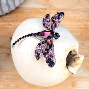 May include: A dragonfly-shaped brooch crafted from silver-toned metal, featuring an array of faceted crystals in various shades of purple, magenta, and deep plum. The wings and elongated body are densely encrusted with these sparkling stones.