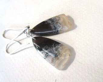 Unique and wonderful earrings, shabby chic, with cabochons in opalized petrified wood: "Intimate Horizons"