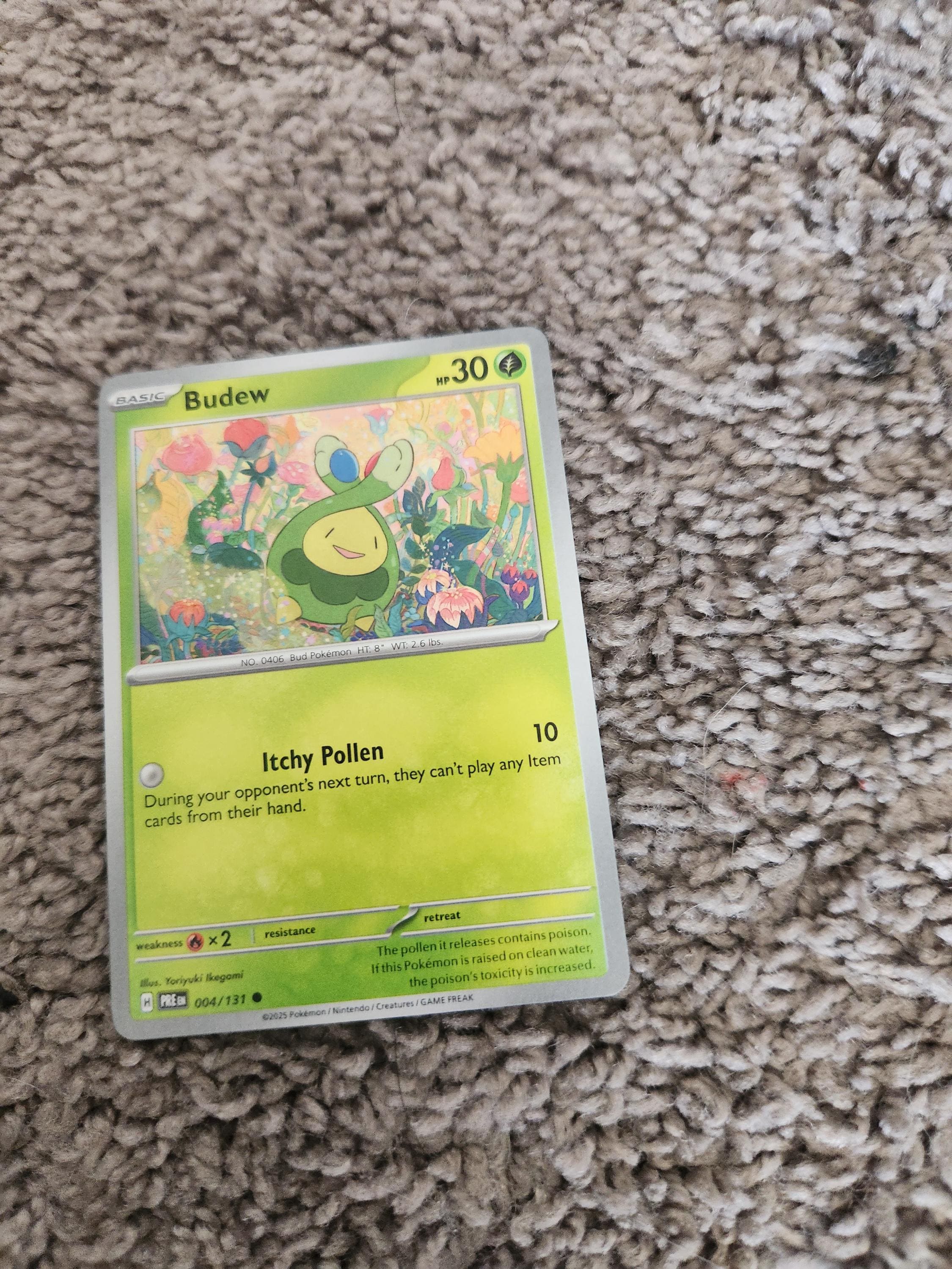 budew pokemon card Amazon.com: Pokemon
