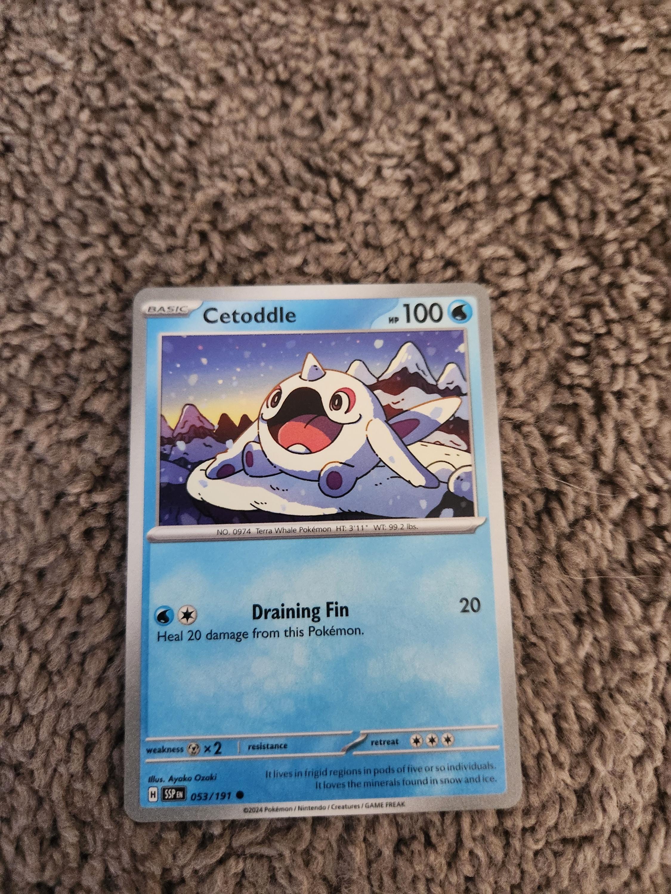 cetoddle pokemon card price Cetitan ex - 065/182 - Destined Rivals Lx2 / None / 2 SV01 Cetoddle 053 - Reverse Holofoil