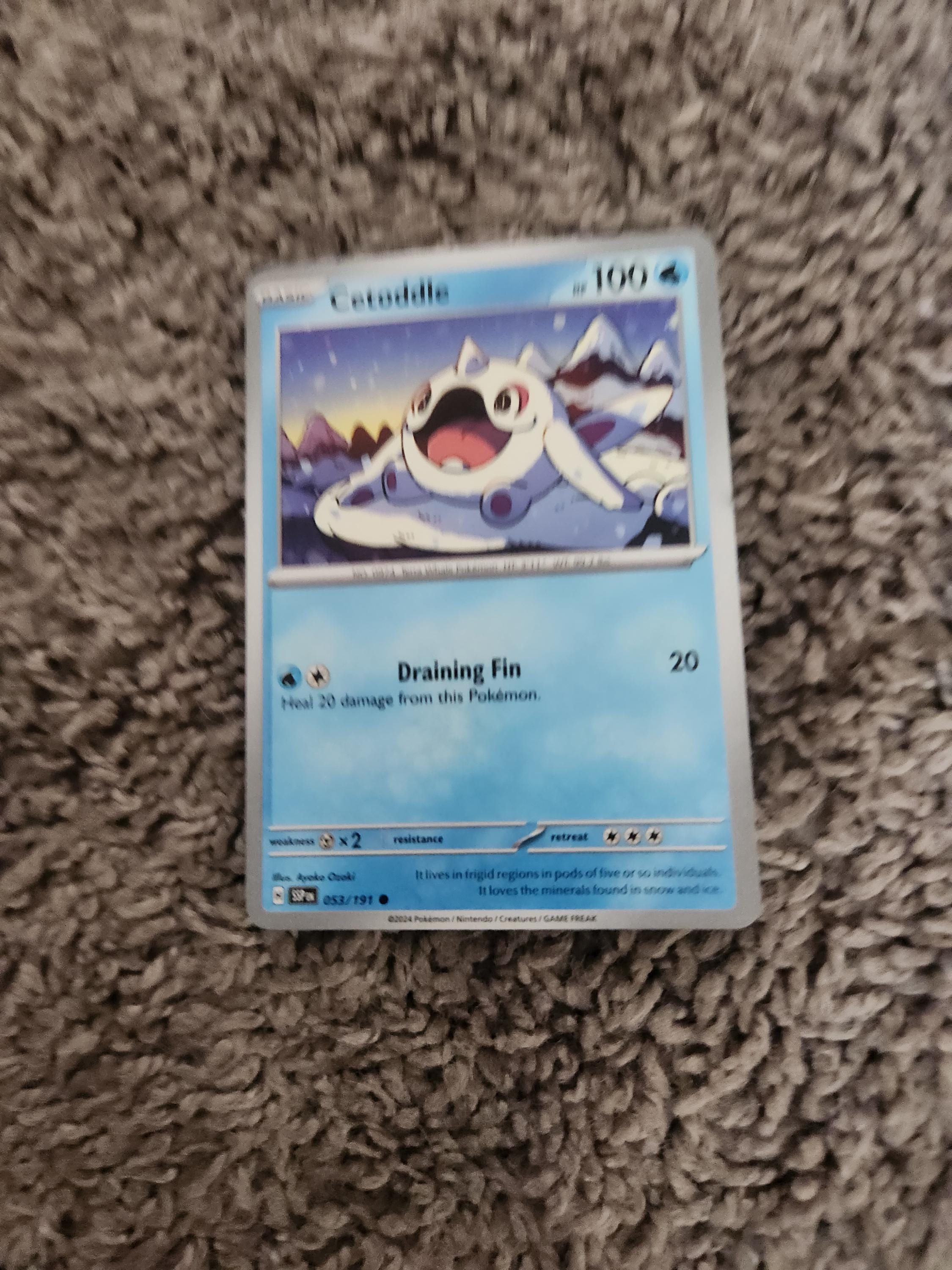 cetoddle pokemon card price Cetoddle (053/193) [Scarlet & Violet: Paldea Evolved] – Gamers Paradise main image 1