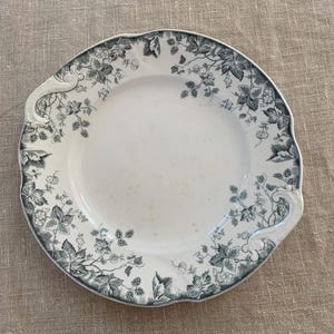 Johnson Brothers, Hops Pattern, Handled Cake Plate, Blue Gray Transfer, Serving Dish, English Transferware