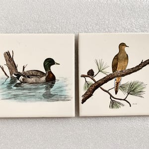 May include: Two vintage ceramic tiles with nature scenes. The first tile features a green-headed mallard duck swimming in a pond. The second tile shows a brown mourning dove perched on a branch of a pine tree.