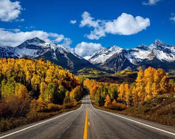 May include: A picturesque landscape with a road leading towards snow-covered mountains under a blue sky with white clouds. The road is bordered by trees in autumnal hues of yellow and green, creating a vibrant scene.