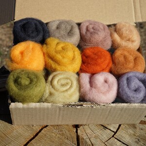 Carded Maori Wool 12 Fall Colours Set 120/180g/300g for needle/wet felting  DHG Maori Wool Batts