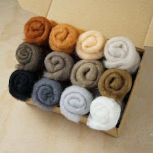 May include: A selection of twelve wool roving rolls in a cardboard box, showcasing a palette of natural hues. The colours range from browns and greys to white. Each roll is tightly wound, perfect for crafting and felting, with a spiral design.