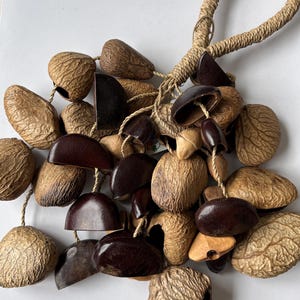 Cascabel de semillas mixtas: sonido natural del agua