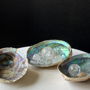 Natural Abalone Shell Bowl - Home Decor - Iridescent Coastal Decor - Smudge Dish