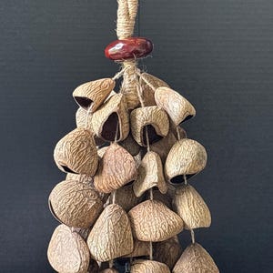 Pangi Seed Shell Shaker: Natural Water Sound Chime - Bali Artisan Crafted