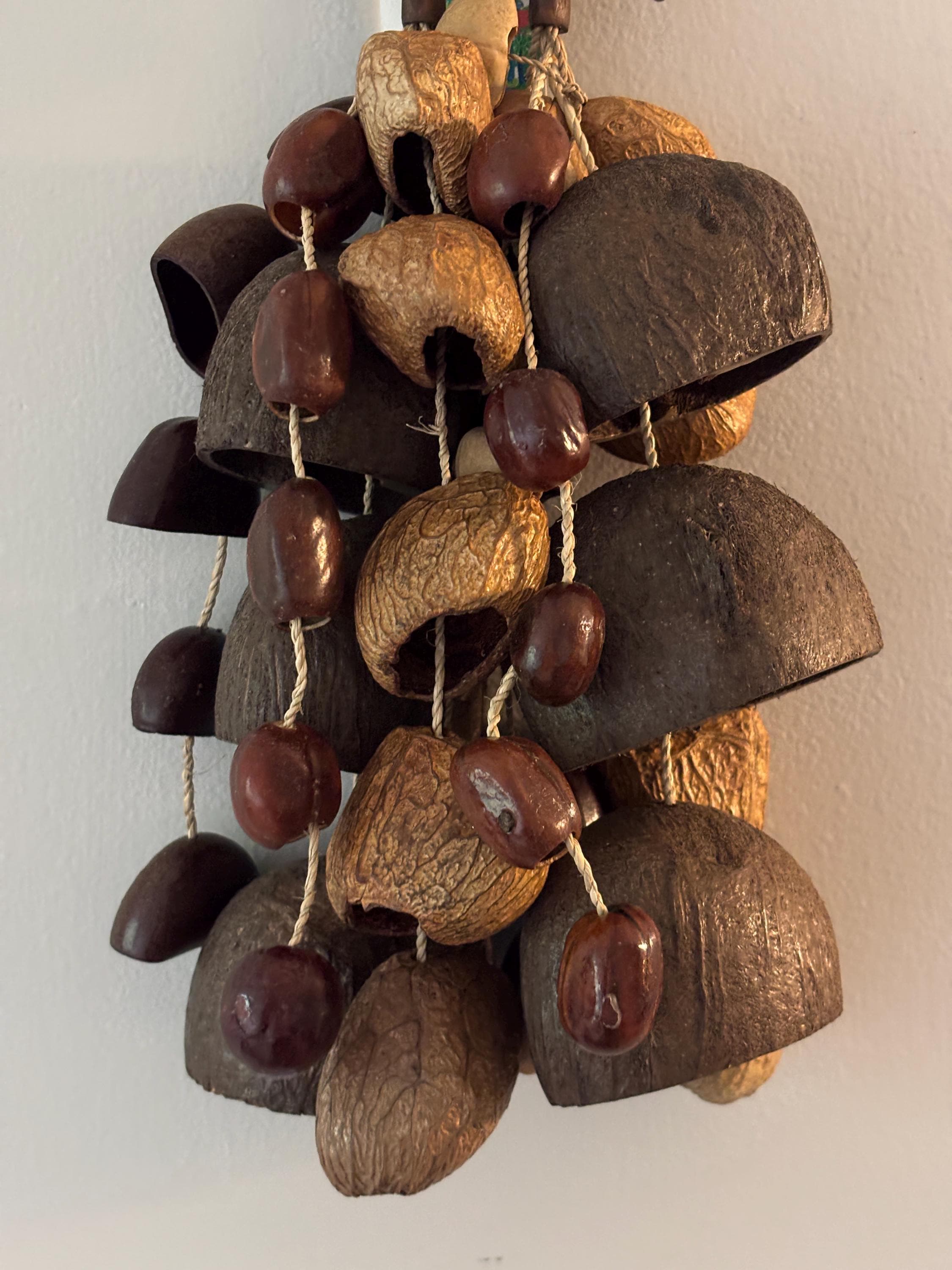 Shell Shakers Instrument Mother Earth Seed Shell Shaker: Natural Water Sound Instrument - Etsy