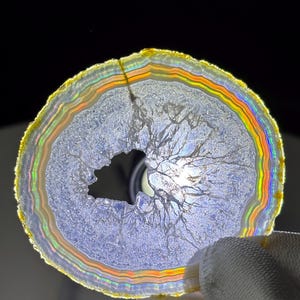 May include: A circular agate slice with a central hole and a rainbow-hued edge. The interior displays intricate, branching patterns. The agate is held by a gloved hand against a dark backdrop, accentuating its natural beauty and colours.